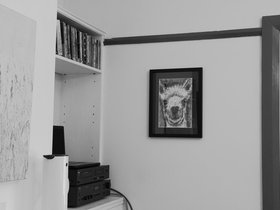 2014-10-13-1695 My photo of Julien's drawing of Alex's photo of Otto.jpg